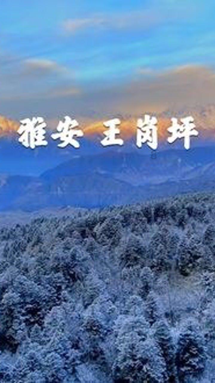 药易购(300937.SZ)：4930万股首发前已发行股份将于1月29日解禁